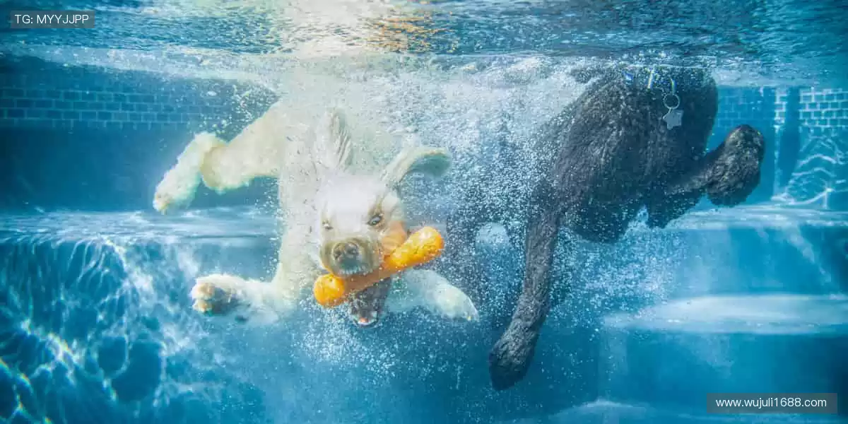 装备控的天堂，专业与潮流并存！🎯🎁